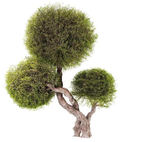 Topiary Ball Bush Set01