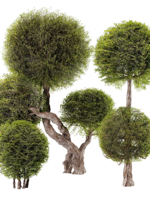 Topiary Ball Bush Set01