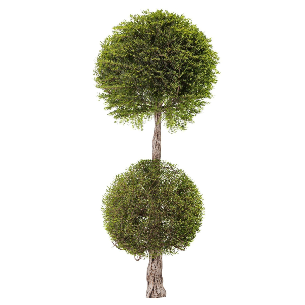 Topiary Ball Bush Set01