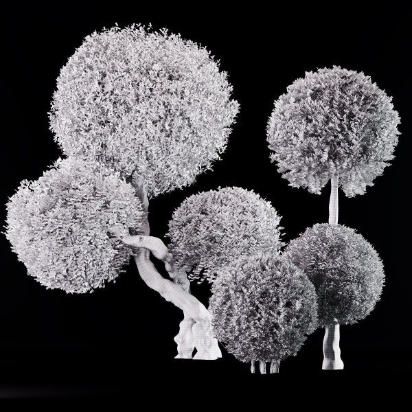Topiary Ball Bush Set01