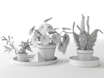 Trays with Pot Plants