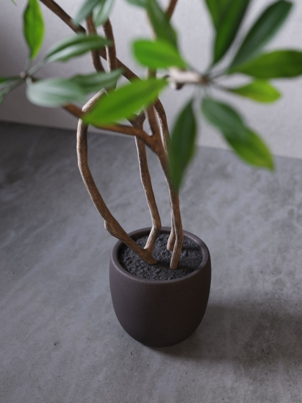 Tree 01
