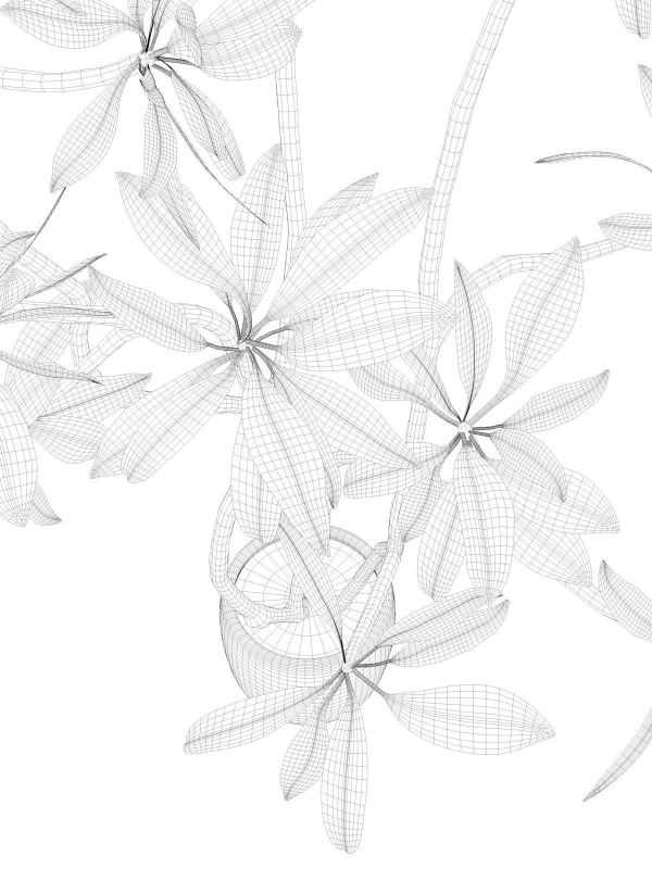 Tree 01