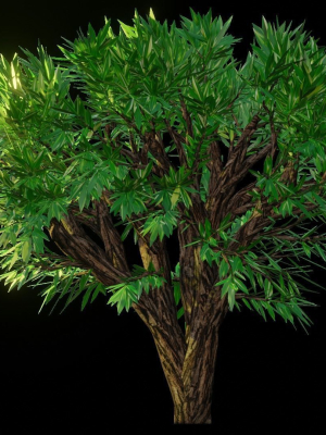 Tree 1