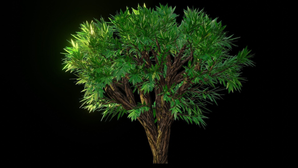 Tree 1