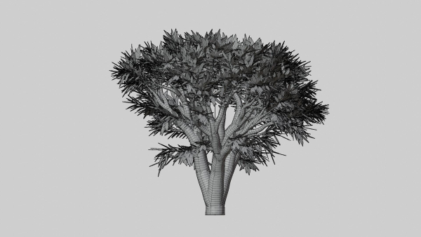 Tree 1