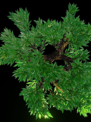 tree-1-3d-model-feea882922