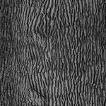 Tree-1 tree