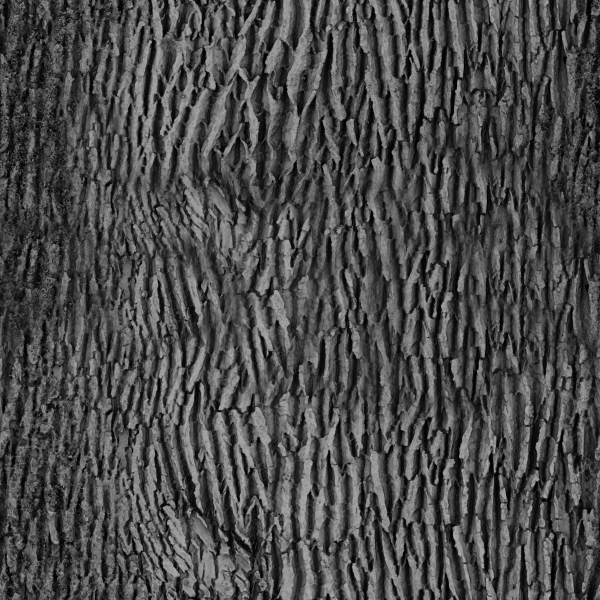 Tree-1 tree
