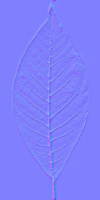 Tree-1 tree