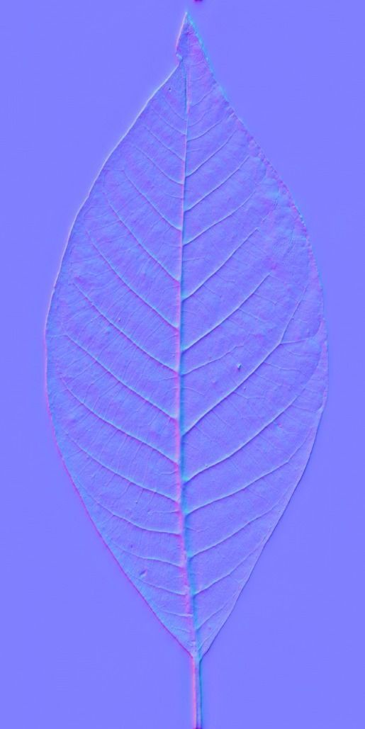 Tree-1 tree