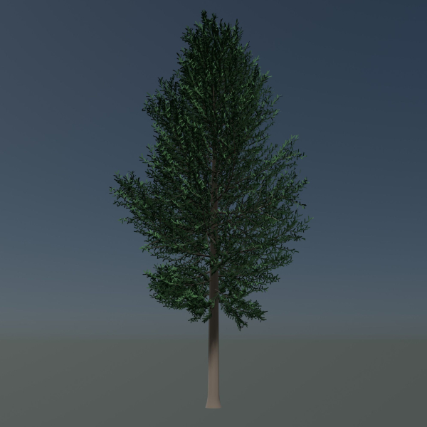 Tree 24L09
