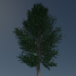Tree 24L09