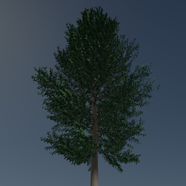 Tree 24L09