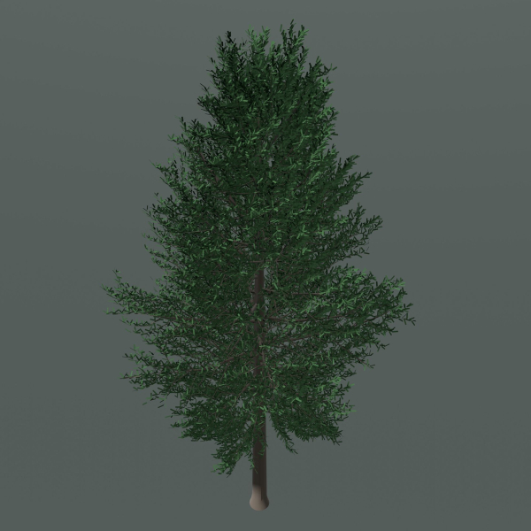 Tree 24L09