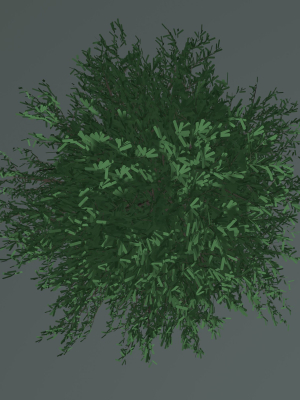 tree-24l09-3d-model-d5f758e072