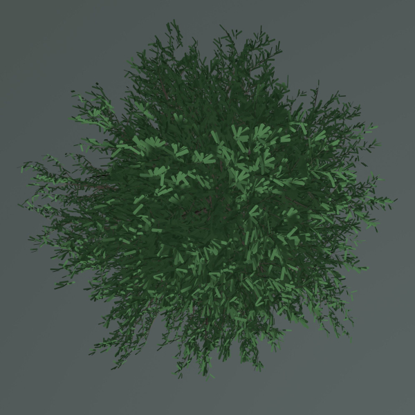 Tree 24L09