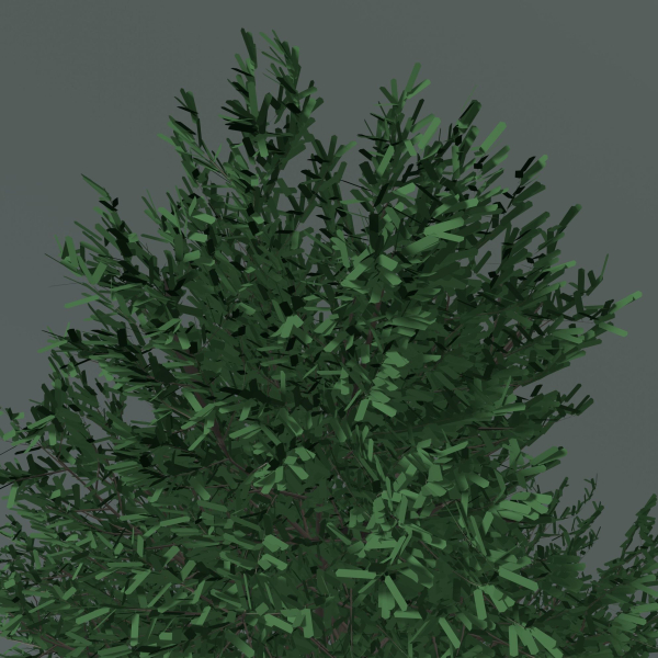 Tree 24L09