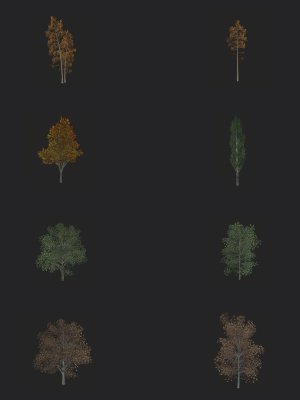 Tree 3D Model