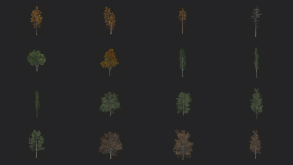 Tree 3D Model