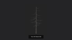 Tree 3D Model