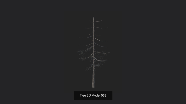 Tree 3D Model