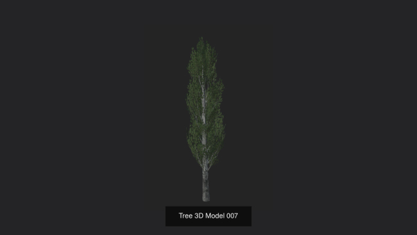 Tree 3D Model