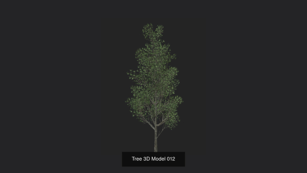 Tree 3D Model