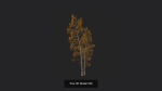 Tree 3D Model
