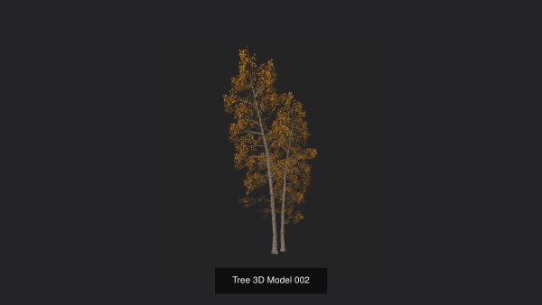 Tree 3D Model