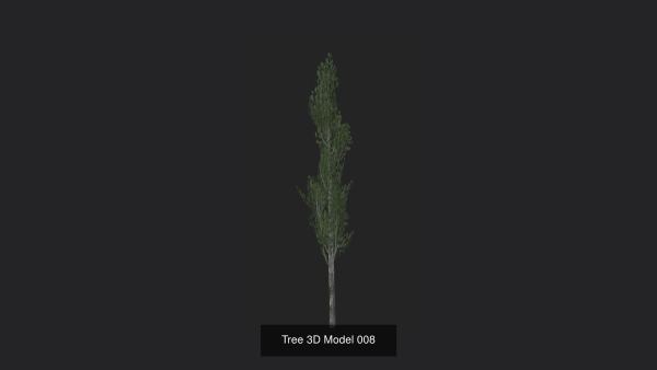 Tree 3D Model