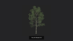 Tree 3D Model