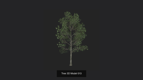 Tree 3D Model