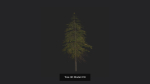 Tree 3D Model