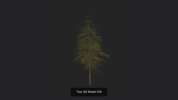 Tree 3D Model