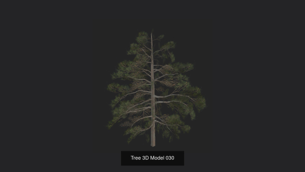 Tree 3D Model