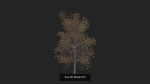 Tree 3D Model