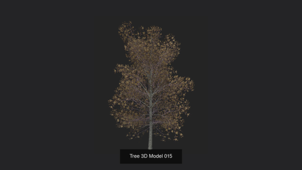 Tree 3D Model