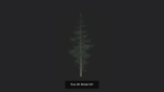 Tree 3D Model