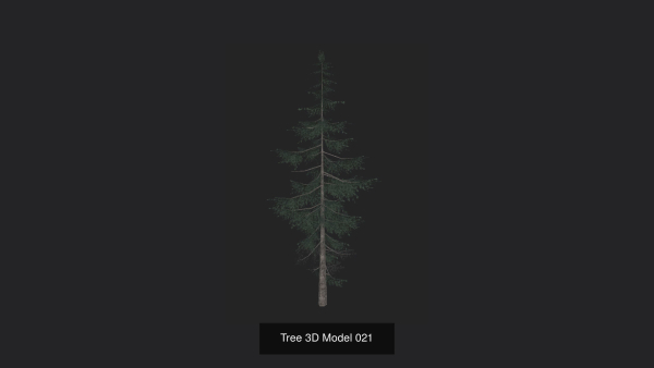 Tree 3D Model