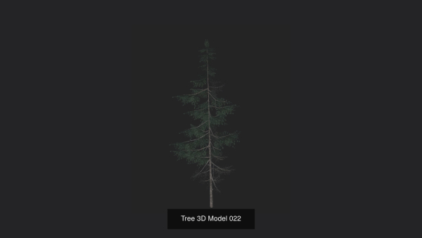 Tree 3D Model