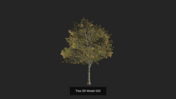 Tree 3D Model