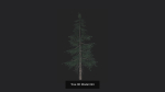 Tree 3D Model