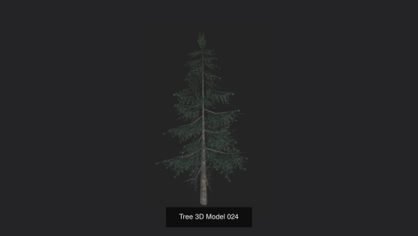 Tree 3D Model