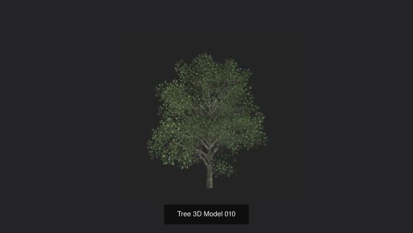 Tree 3D Model