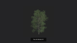 Tree 3D Model