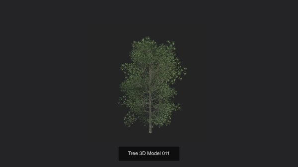 Tree 3D Model