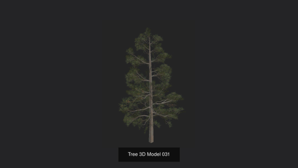 Tree 3D Model