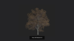 Tree 3D Model
