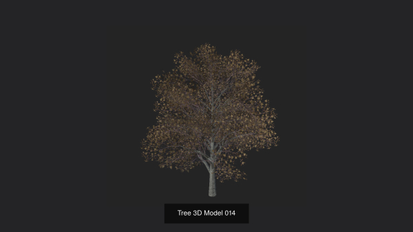 Tree 3D Model